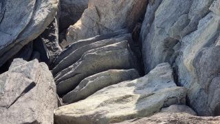 2024-01-Paseo_Costa_Canaria-San_Agustin-Ingles-076.jpg